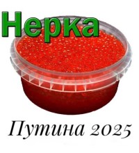 Икра красная нерки, 500 г Путина 2025