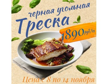 Акция с 8 по 14 ноября 